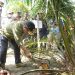foto: istimewa