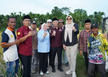 Perkuat Sektor Pertanian, Bupati dan Wabup Tanjab Timur Panen Cabai dan Padi di Rantau Rasau.Foto:dok.ist