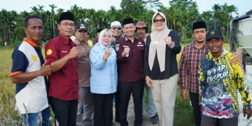 Perkuat Sektor Pertanian, Bupati dan Wabup Tanjab Timur Panen Cabai dan Padi di Rantau Rasau.Foto:dok.ist