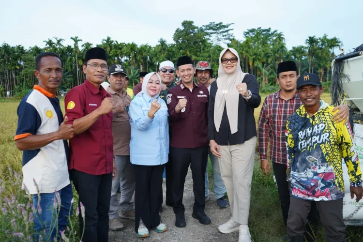 Perkuat Sektor Pertanian, Bupati dan Wabup Tanjab Timur Panen Cabai dan Padi di Rantau Rasau.Foto:dok.ist