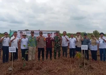 Hijaukan Daerah, Pemkab Tanjabtim Lakukan Penanaman Pohon Serentak.Foto:dok.ist
