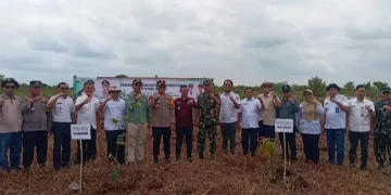 Hijaukan Daerah, Pemkab Tanjabtim Lakukan Penanaman Pohon Serentak.Foto:dok.ist